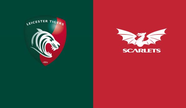 Leicester Tigers - Scarlets am 19.10.