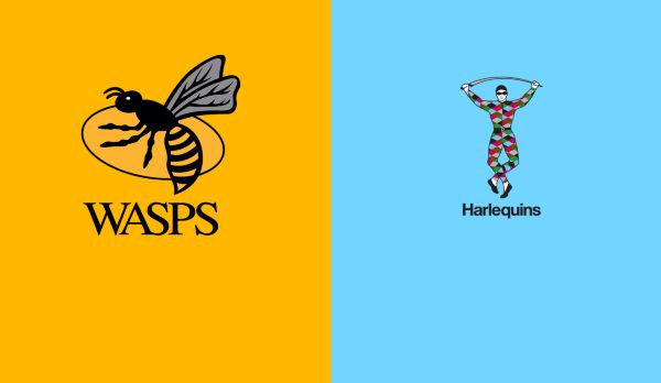 Wasps - Harlequins am 31.01.