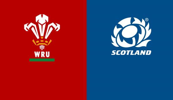 Wales - Schottland am 03.11.