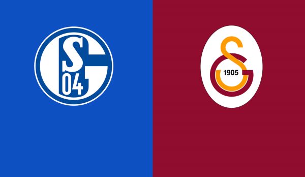 FC Schalke 04 - Galatasaray (Highlights) am 06.11.