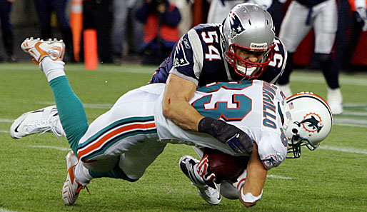Week 16: New England Patriots - Miami Dolphins 28:7. Ted Bruschi (o.) ließ so schnell keinen vorbei