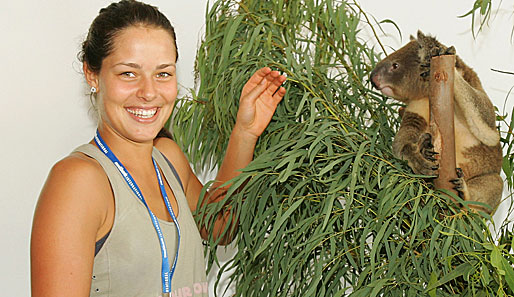 Ivanovic konnte in ihrer Karriere bislang fünf Titel gewinnen. 2007 gewann sie u.a. in Berlin.