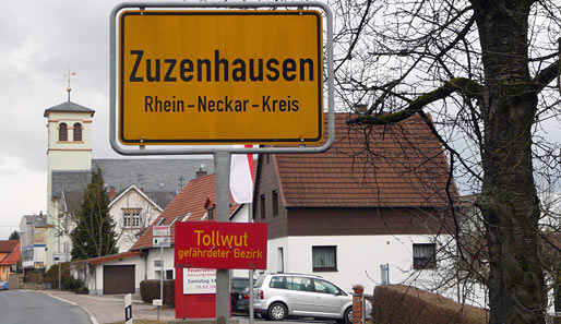 Zuzenhausen liegt im Rhein-Neckar-Kreis, ca. 3 Kilometer von Hoffenheim und ca. 10 Kilometer vom Stadion in Sinsheim entfernt