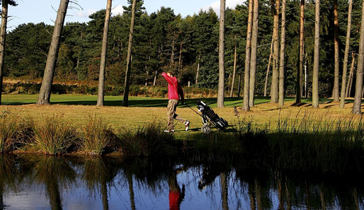 Golf wurde heute im Forest Pines Club in England gespielt. Das Wetter war gar nicht schlecht...
