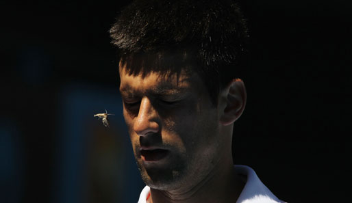 Novak Djokovic auf Konfrontationskurs mit einem kleinen Nachtfalter. Der Serbe ließ sich nicht aus der Ruhe bringen und zog in die nächste Runde ein