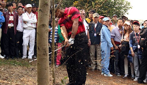 Golf-Superstar Tiger Woods macht seinem Nachnamen alle Ehre. In der finalen Runde der WGC-HSBC Champions verlegt er die Partie ins Unterholz