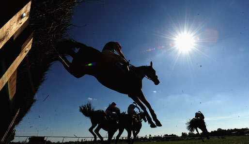 Into the sky: Auf dem Fakenham-Racecourse geht es für Jockey und Pferd immer der Sonne nach