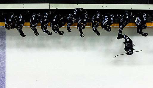Give me five! Devin Setoguchi von den San Jose Sharks holt sich die Glückwünsche seiner Teamkollegen ab. Zuvor hatte er in den NHL-Playoff-Semifinals gegen Detroit getroffen
