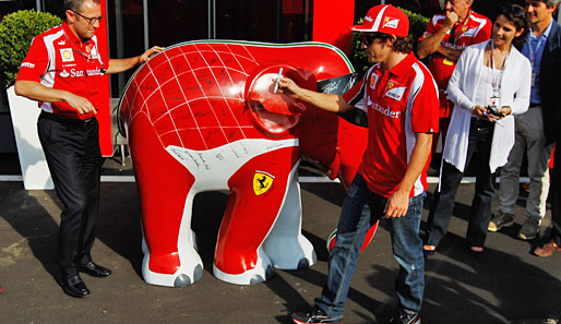 Fernando Alonso bekam es beim Ferrari-Heimspiel mit einem Elefanten zu tun. Aber der wollte nur spielen und sammelte Unterschriften