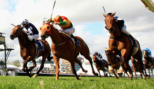 Das Pferd mit der bunten Maske - Happy Trail und Jockey Damien Oliver gewinnen beim Thousand Guineas Day in Melbourne