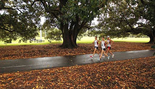Sonntags im Park: Das Spitzenfeld der Herren beim... 50-km-Walking-Lauf der Herren in Melbourne. Jared Tallent konnte das Spektakel für sich entscheiden