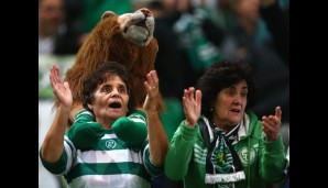 Der Löwe ist los in Portugal!