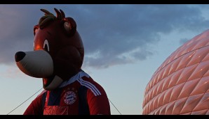 FC BAYERN MÜNCHEN - SCHACHTJOR DONEZK 7:0: Bayern-Maskottchen Berni genoss den frühlingshaften Abend vor der Allianz Arena