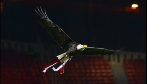 Seit der EM 2004 lässt Benfica den Adler als Maskottchen bei Heimspielen durch das Stadion des Lichts fliegen. Jedes Mal wieder ein majestätischer Anblick