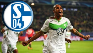 FC SCHALKE 04: 7 Jahre Bremen, 4 Jahre Wolfsburg, jetzt Schalke. Naldo (33) wechselt ablösefrei nach Gelsenkirchen