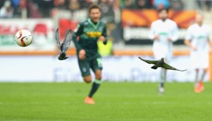 FC AUGSBURG - BORUSSIA MÖNCHENGLADBACH 2:2: Aus Ente wird Taube: Zum 72. Geburtstag von Sepp Maier eine Reminiszens an vergangene Tage