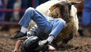 SCHAF-RODEO: Das Glück der Erde liegt auf dem Rücken eines Schafes. Bis man spektakulär auf die Schnauze fällt. In den USA üben diesen Sport meist Kinder aus. Die sechs Sekunden auf dem Wolltier scheinen zu gefallen