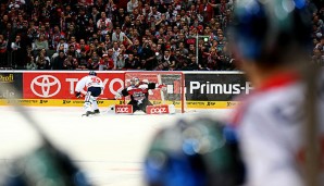 Die Eisbären zeigten Köln im letzten Spiel die Grenzen auf