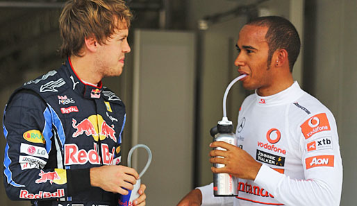 Sebastian Vettel und Lewis Hamilton liegen in der Fahrerwertung auf den Plätzen drei und vier