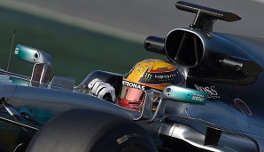 Lewis Hamilton fährt dieses Jahr an der Seite von Valtteri Bottas
