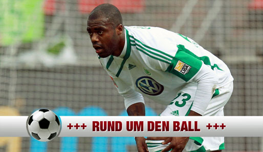Grafite erzielte in der laufenden Saison schon elf Bundesliga-Tore für den VfL Wolfsburg