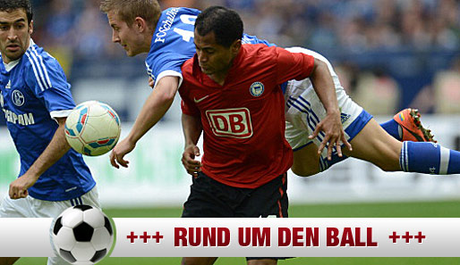 Der Ex-Herthaner Raffael (r.) im Duell mit Schalkes Lewis Holtby und Raul