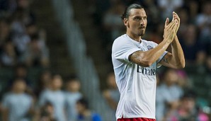 Zlatan Ibrahimovic hat der schwedischen Nationalmannschaft eine komplette WM-Reise spendiert
