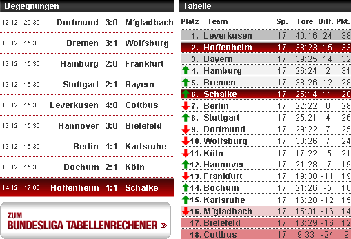 Stefan Effenberg, Spielplaner, Tabellenrechner, Bundesliga, Spieltag 17, Hoffenheim, Schalke