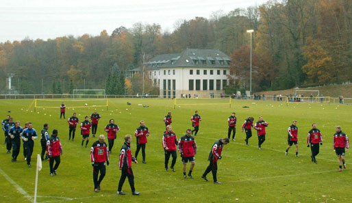 Die Mannschaft des 1. FC Köln in der Saison 2003/2004 auf dem Platz der Sportschule Hennef