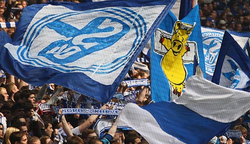 Schalke 04 konnte den Umsatz im vergangenen Jahr erneut steigern
