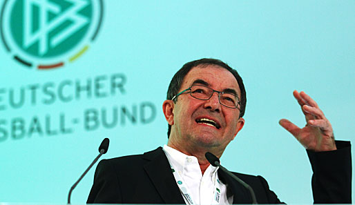 Erwin Staudt war bis 2011 VfB-Präsident, möchte diesen Job aber nicht noch einmal machen