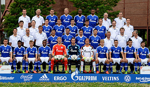 Das ist der FC Schalke 04 in der Saison 2013/2014