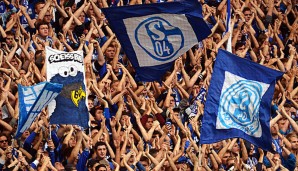 Schalke will Synergien zwischen Fans, Mitgliedern und Sicherheit schaffen