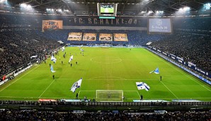 Der FC Schalke 04 will den heimischen Rasen austauschen