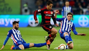 Chicharito netzte in der Bundesliga 17 mal ein