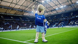Schalkes Maskottchen hatte im Derby für Aufregung gesorgt