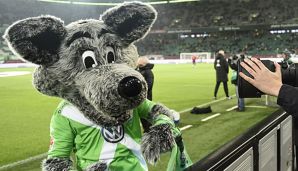 Sportdirektor Olaf Rebbe vermutet einen Maulwurf beim VfL Wolfsburg.