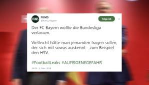 Also heißt es für den FC Bayern jetzt, sich die HSV-Expertise einzuholen - meint zumindest "FUMS".