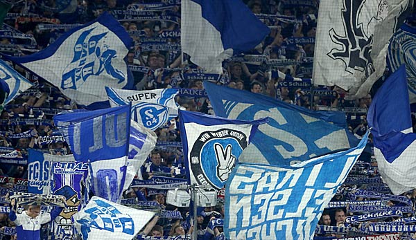 Fc Schalke 04 Transfers