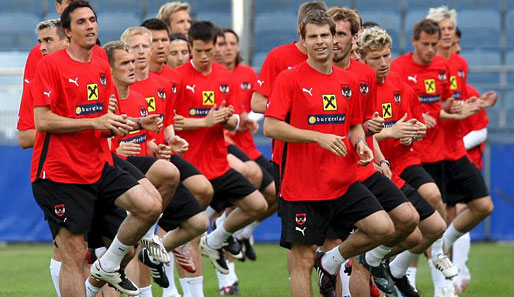 EM 2008, Österreich, Training