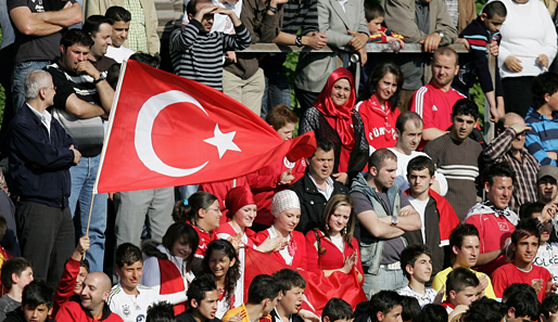 EM 2008, Türkei, Fans