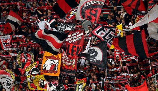 Die Leverkusen-Fans sind heiß auf Europa: Der Champions-League Finalist von 2002 ist zurück