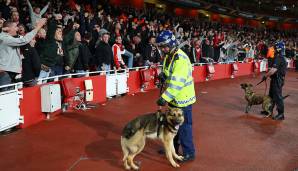 Im Stadion rückte die Polizei mit Kampfhunden aus