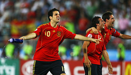 Fabregas, Comeback, International, WM 2010, Spanien