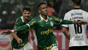 Estevao Willian Messinho 2023-24 Chelsea Palmeiras