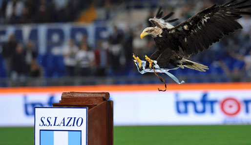 Weißkopfseeadler Olimpia ist das Symbol für Lazios Aufschwung