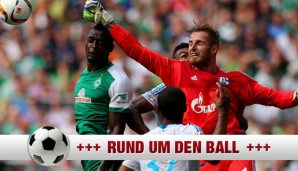 Ralf Fährmann bleibt bis 2020 auf Schalke