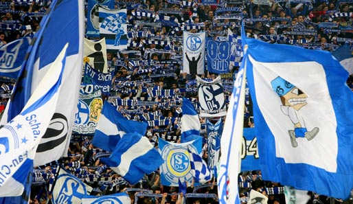 Die Schalker Fans verwandeln die Veltins-Arena regelmäßig in ein Meer aus blau-weißen Flaggen und Schals