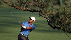 Auch Tiger Woods hatte seine Probleme mit dem "Eisenhower-Tree"