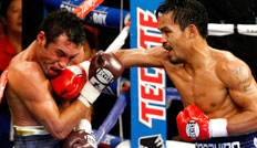 Mit dem Kampf gegen Manny Pacquiao soll Oscar de la Hoya - trotz Niederlage - rund 60 Mio. Dollar verdient haben